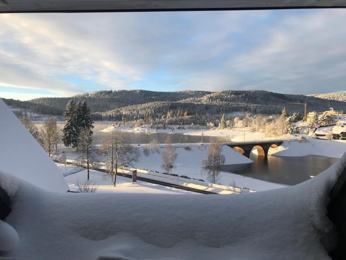 Appartement Sunset, 28Qm Schluchsee Eksteriør billede